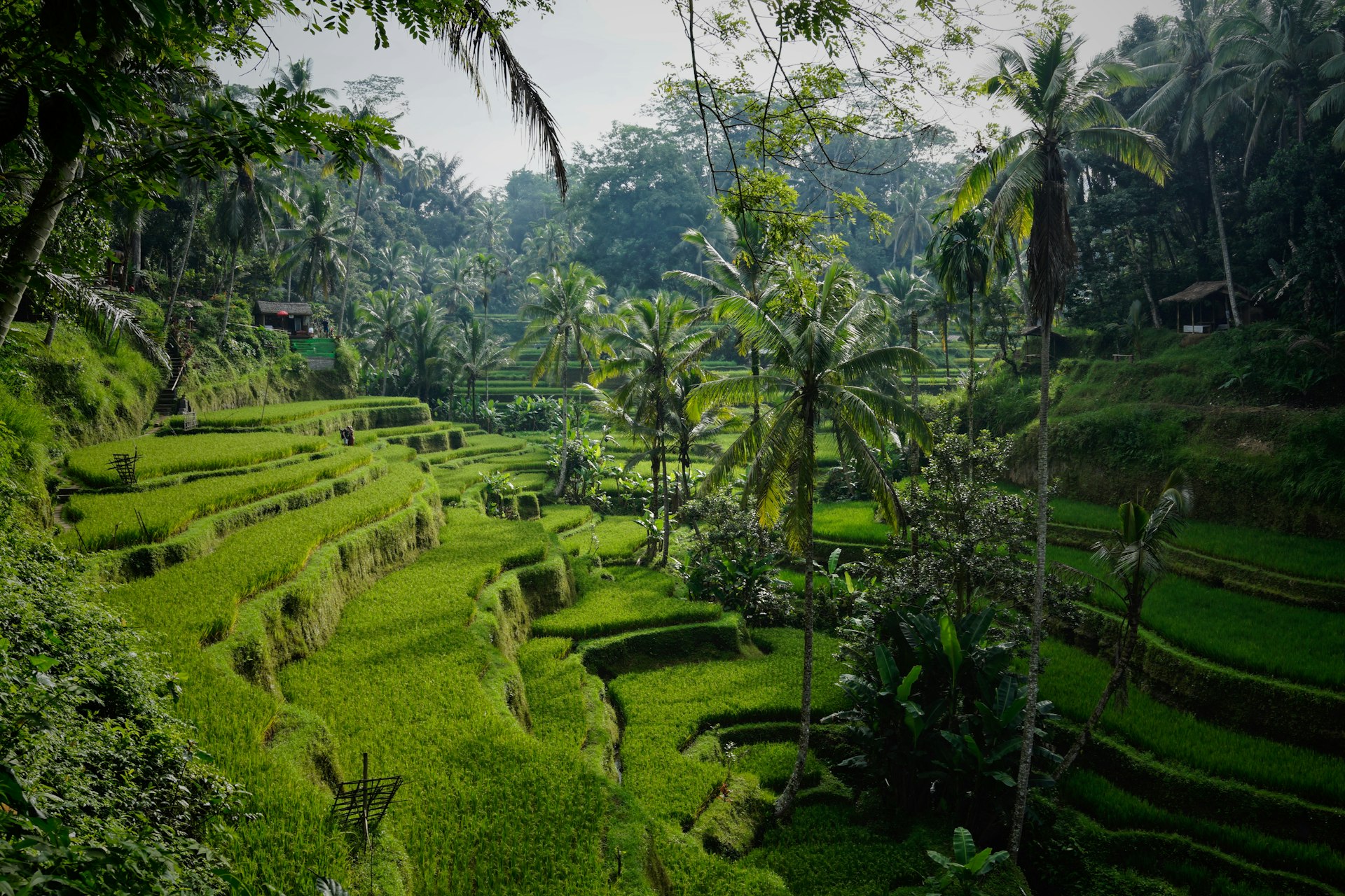 Bali, Indonesien